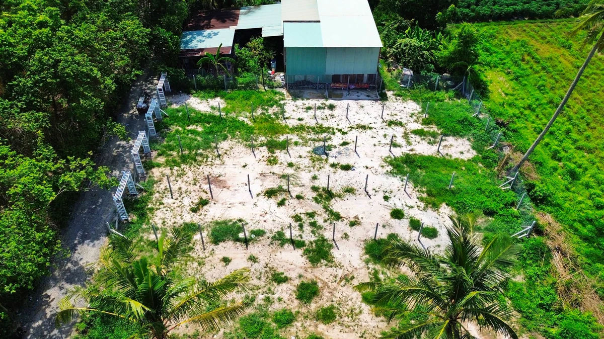 Bán 4 lô đất 140m2 Giồng Cà, Tây Ninh - 199 triệu/lô - Ảnh thu nhỏ 2