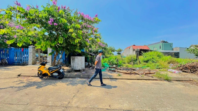 Bán đất tái định cư Đại Lãnh 212,5m² mặt tiền Đường D8