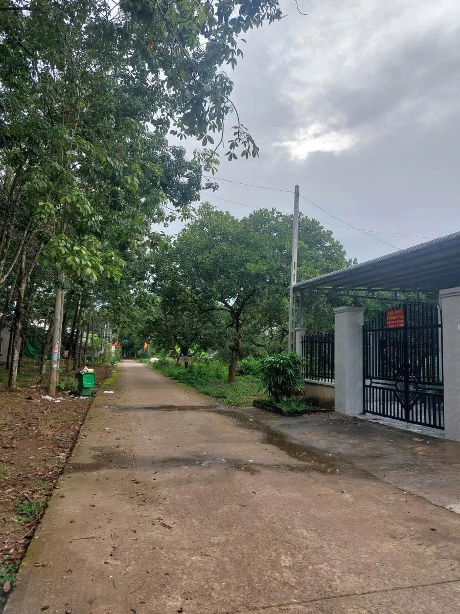 Bán lô đất 500m2 khu phố 2 Tiến Thành 1 tỷ 200 - Ảnh thu nhỏ 4