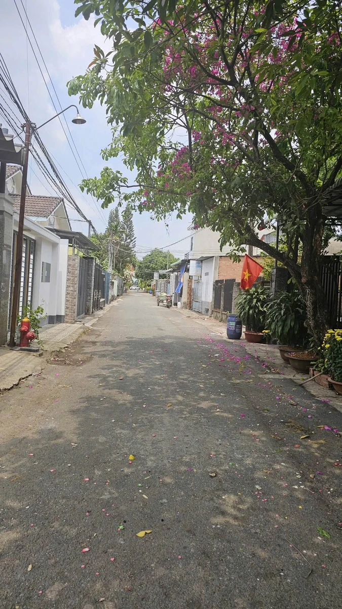 Bán đất Trảng Bom 447m² gần chợ Quãng Biên 2.999 tỷ - Ảnh thu nhỏ 2