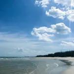 Bán 4214m2 view biển mặt tiền ĐT 719, Kê Gà, giá tốt - Ảnh thu nhỏ 6