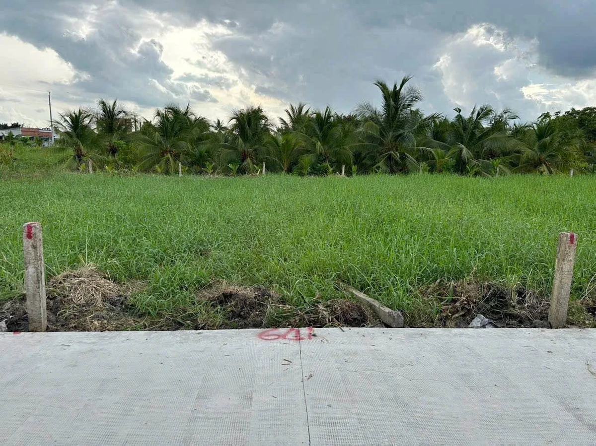 Bán đất thổ cư 5x24m giá 395 triệu/lô tại xã Tầm Vu, Tây Ninh - Ảnh thu nhỏ 2