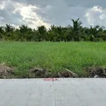 Bán đất thổ cư 5x24m giá 395 triệu/lô tại xã Tầm Vu, Tây Ninh - Ảnh thu nhỏ 2