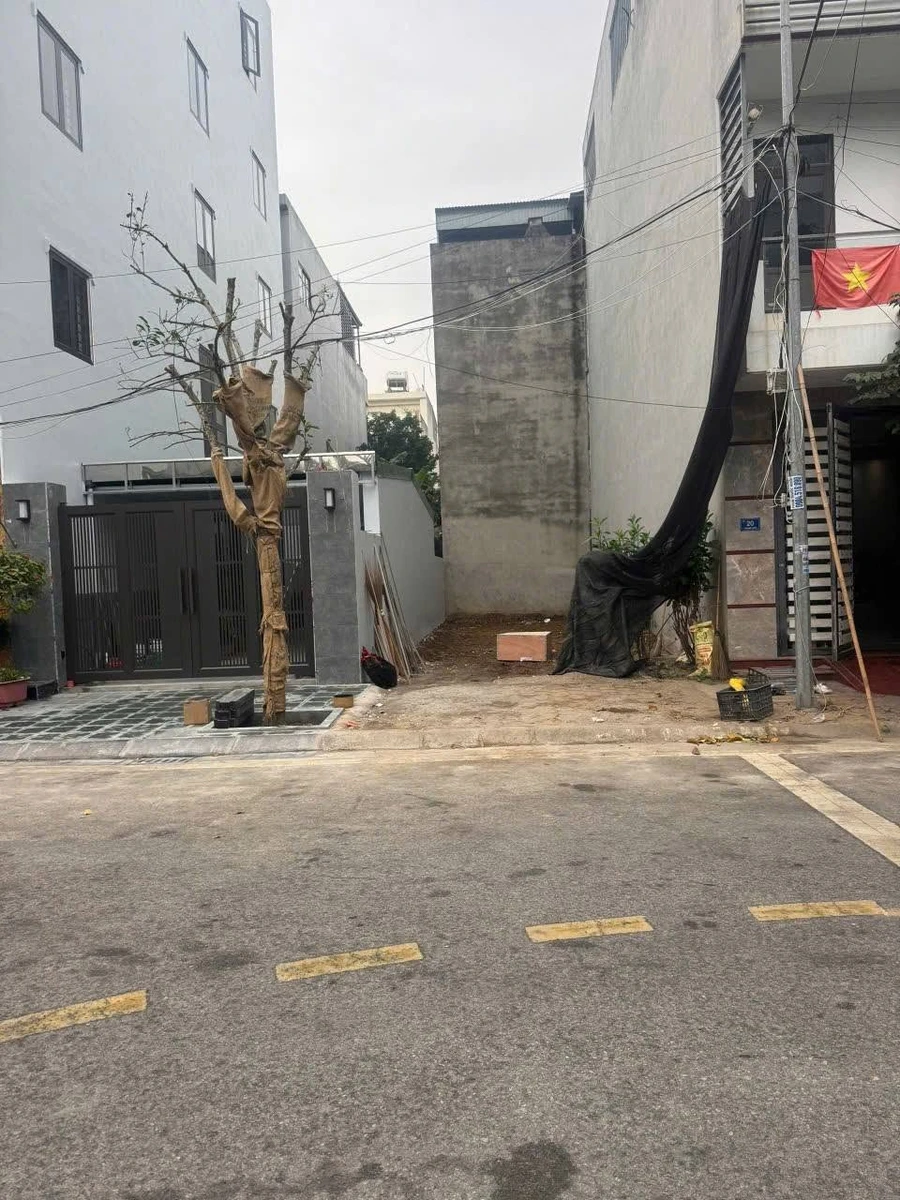 Bán đất Tuệ Tĩnh Hải Dương 67.5m2 giá 4.19 tỷ - Ảnh thu nhỏ 3