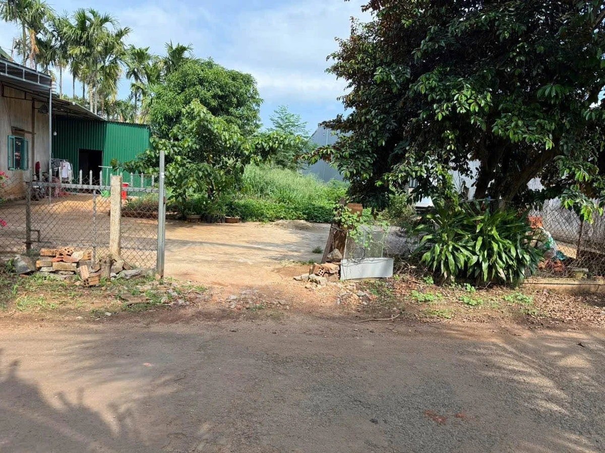 Bán đất hẻm 232 Nguyễn Thái Bình Tân Lập, Buôn Ma Thuột, 170m² - Ảnh 1