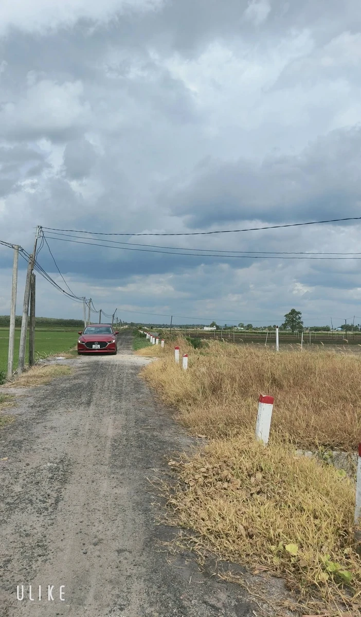 Bán 5000m2 đất đen Suối đá Dương Minh Châu Tây Ninh - Ảnh 1