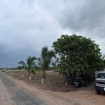 Đất nền Dương Minh Châu 60m2 giá 449 triệu - Ảnh thu nhỏ 3