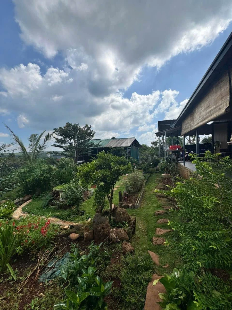 Nhượng nhà vườn 500m2 có hồ cá Koi, sổ riêng, hẻm 442 Ymoan, giá 2,99 tỷ - Ảnh thu nhỏ 3