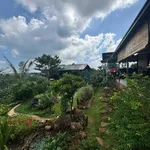 Nhượng nhà vườn 500m2 có hồ cá Koi, sổ riêng, hẻm 442 Ymoan, giá 2,99 tỷ - Ảnh thu nhỏ 3