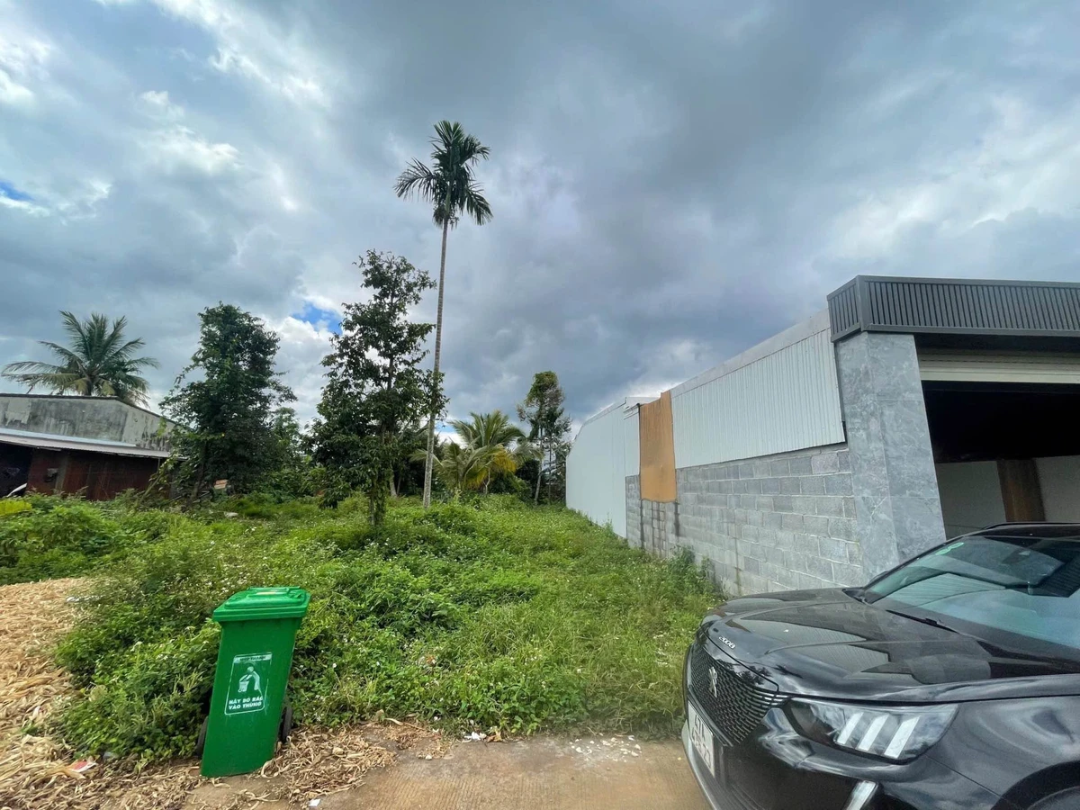 Bán đất Nguyễn Xuân Nguyên Bình Chánh 60m2 2.5 tỷ - Ảnh thu nhỏ 4