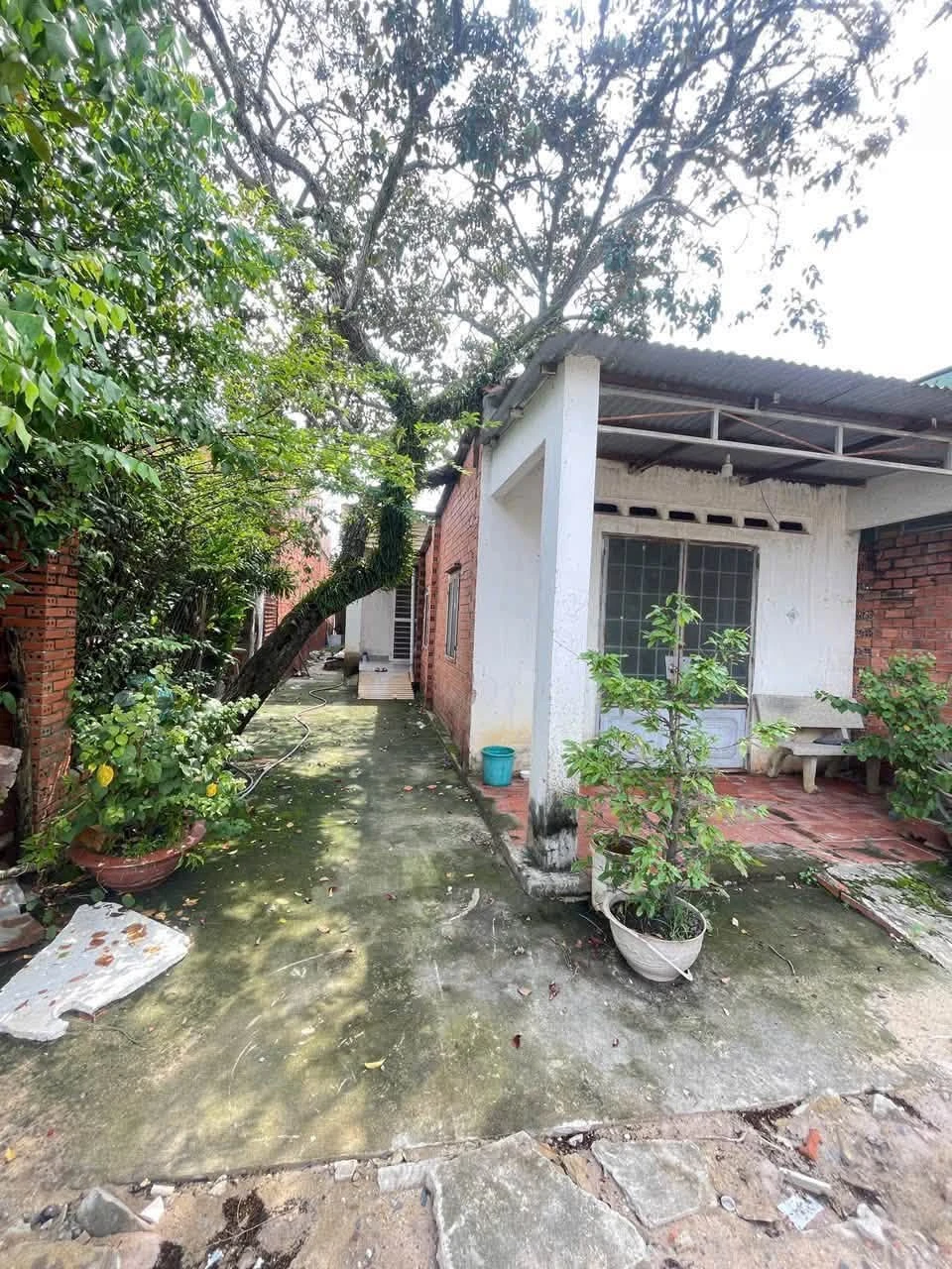 Bán đất 195m² mặt tiền hẻm Nguyễn Văn Linh, 1 tỷ 250 - Ảnh 1