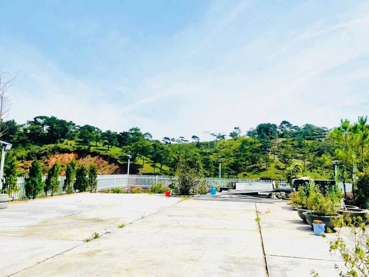 Bán lô biệt thự 2 mặt tiền 1.444 m² Đà Lạt - Ảnh thu nhỏ 3
