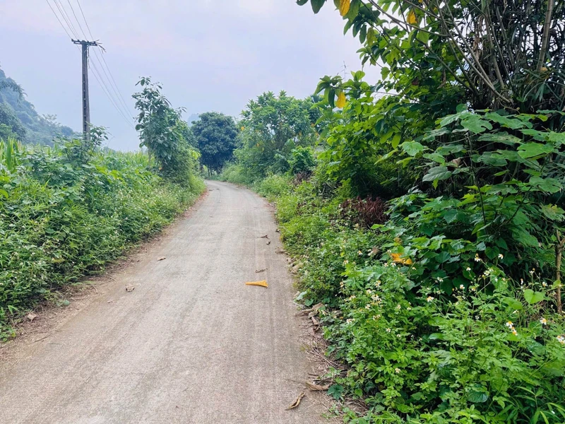Bán đất bám suối view núi đá Hòa Bình 1.160m²