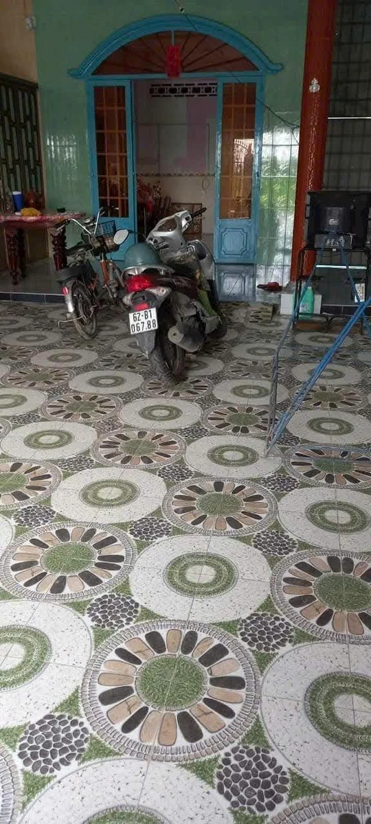 Bán nhà cấp 4 mặt tiền Võ Duy Tạo, 279m², 2 phòng ngủ - Ảnh thu nhỏ 3