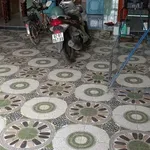 Bán nhà cấp 4 mặt tiền Võ Duy Tạo, 279m², 2 phòng ngủ - Ảnh thu nhỏ 3