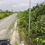 Bán đất vườn 500m² Thủ Thừa Long An 319 triệu - Ảnh thu nhỏ 2