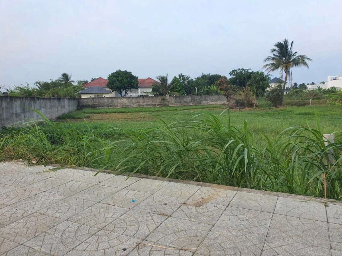 Bán đất ODT 2.233m² mặt tiền Nguyễn Đáng, Trà Vinh - Ảnh thu nhỏ 3