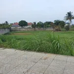 Bán đất ODT 2.233m² mặt tiền Nguyễn Đáng, Trà Vinh - Ảnh thu nhỏ 3