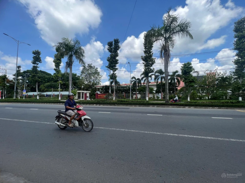 Bán đất tại Quốc lộ 60, xã Sơn Đông, thành phố Bến Tre, 12 tỷ, 546m2 - Ảnh thu nhỏ 3