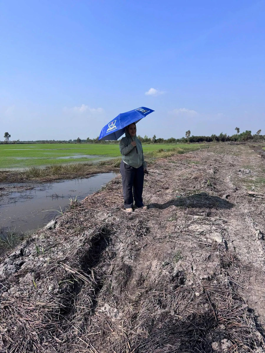 Bán đất vườn 15.000 m² xã Mỹ Thạnh, Long An - Ảnh thu nhỏ 2