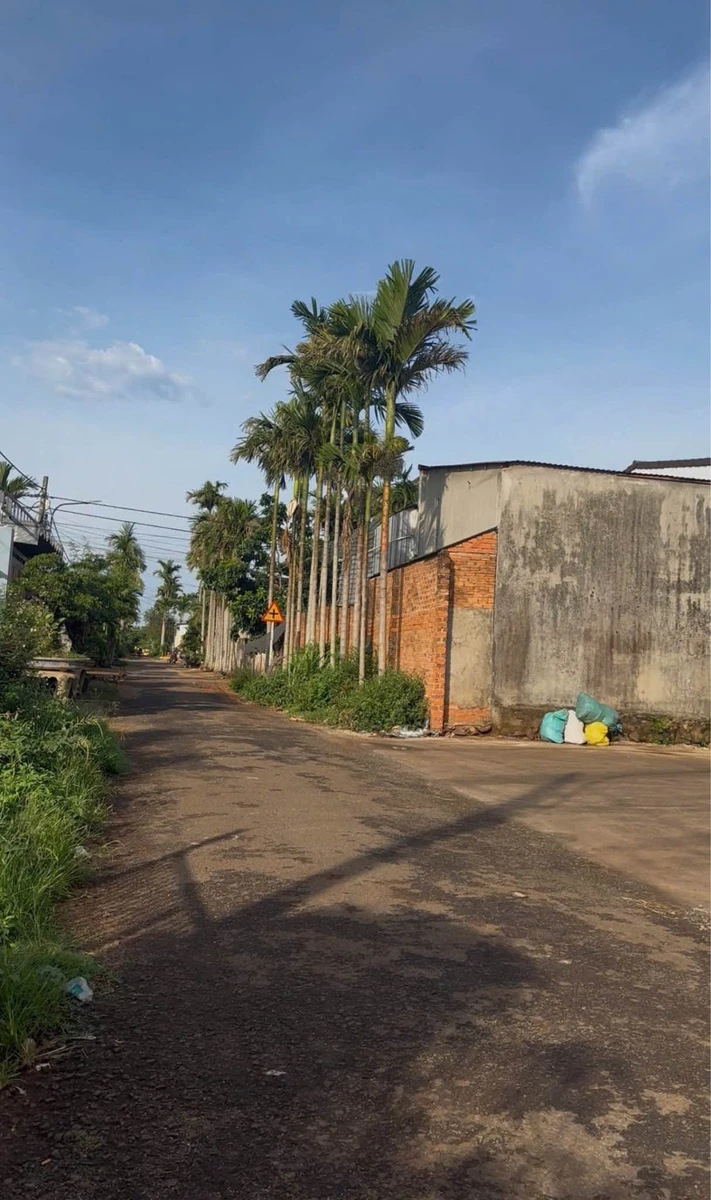Bán đất 870m² kèm kho sẵn, có nhà ở tại Buôn Ju, Phường Tân An, giá 3,99 tỷ - Ảnh thu nhỏ 2