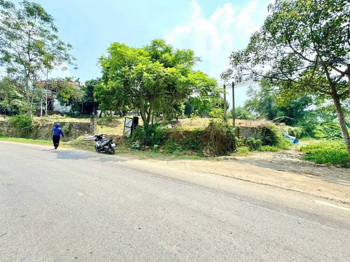 Bán lô góc 2 mặt tiền 2229m² Nhuân Trạch Hòa Bình 20 tỷ - Ảnh thu nhỏ 2