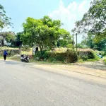 Bán lô góc 2 mặt tiền 2229m² Nhuân Trạch Hòa Bình 20 tỷ - Ảnh thu nhỏ 2