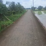 Bán đất Bình Trinh Đông, Tân Trụ, Long An, 1.2 công, 820 triệu - Ảnh thu nhỏ 1