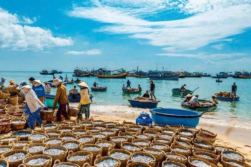 Bán đất 100.000m2 hai mặt tiền đường nhựa và biển tại Tuy Phong, Bình Thuận