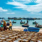 Bán đất 100.000m2 hai mặt tiền đường nhựa và biển tại Tuy Phong, Bình Thuận - Ảnh thu nhỏ 1