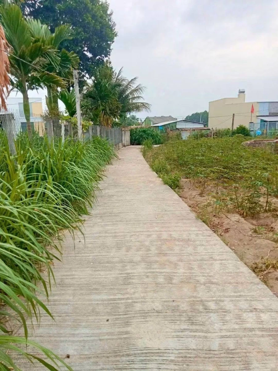 Bán đất Hóc Môn 120m² gần Thạch Bích 4 tỷ - Ảnh 1