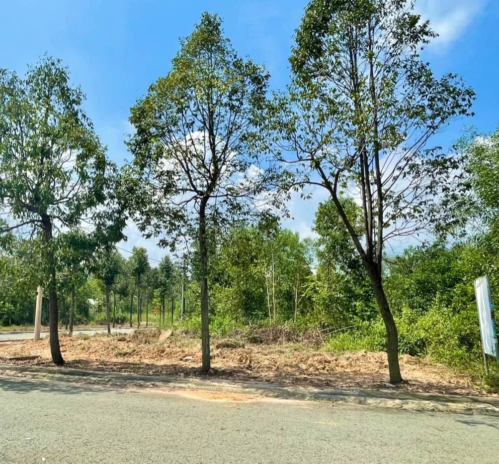 Bán đất Mỹ Phước 4, 150m², 1,4 tỷ - Ảnh 1