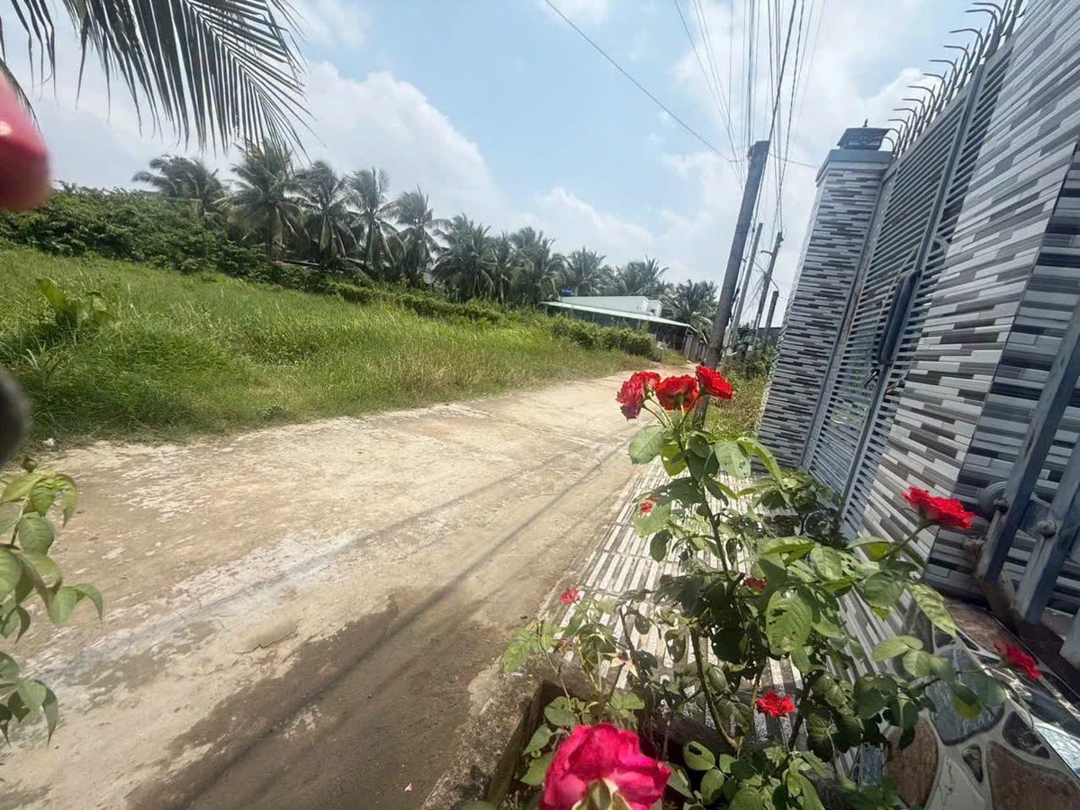 Bán đất Phường Bến Tre 750m2 1 tỷ 950 - Ảnh thu nhỏ 2