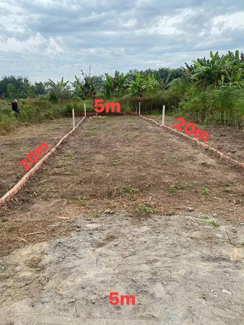 Bán đất Tây Hoà Trảng Bom 100m² sổ hồng chính chủ - Ảnh thu nhỏ 2