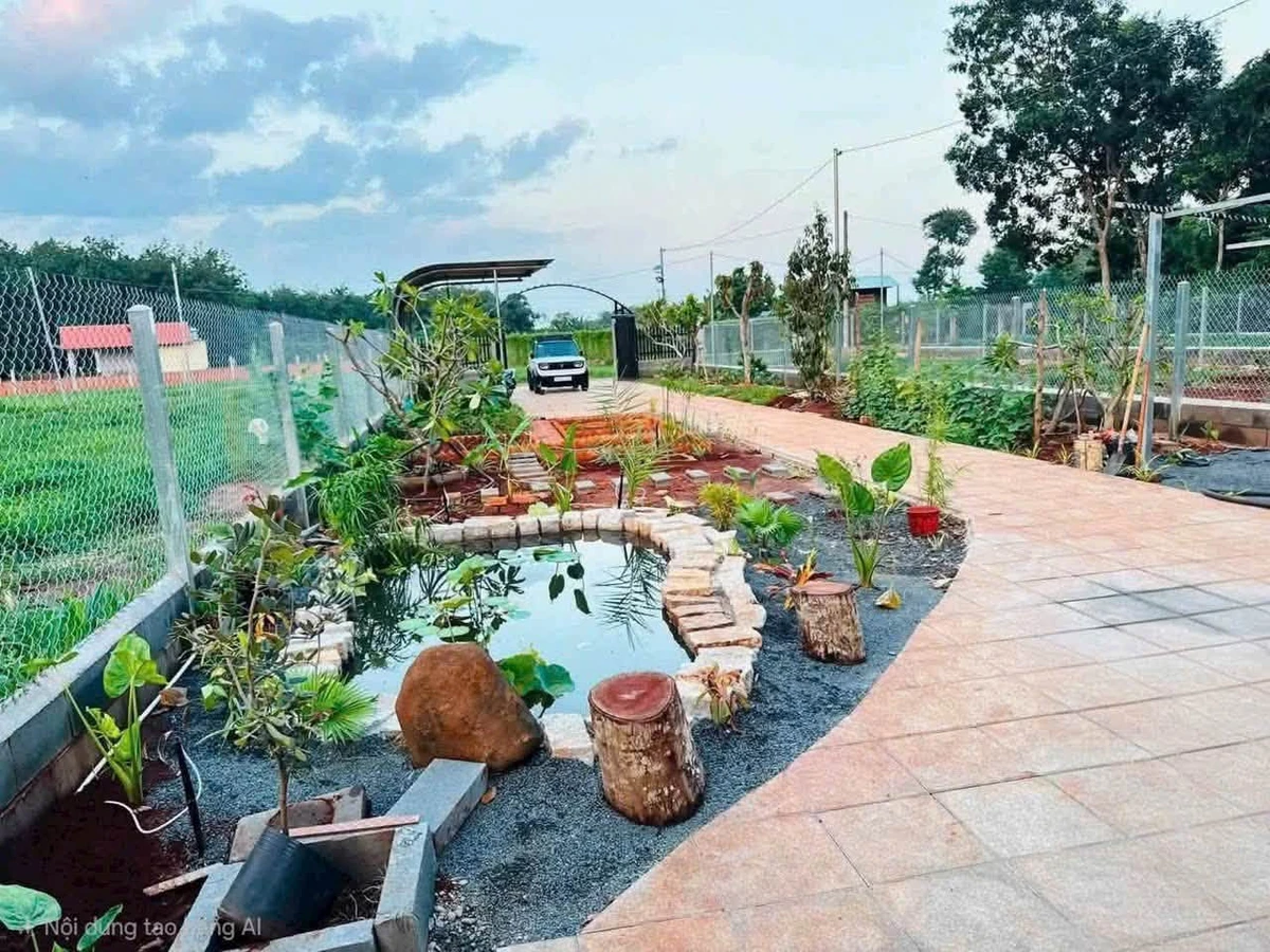 Bán đất nhà vườn 500m² mặt tiền đường nhựa 91C, Long Phước, TP. Bà Rịa, giá 1,79 tỷ - Ảnh thu nhỏ 2