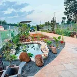 Bán đất nhà vườn 500m² mặt tiền đường nhựa 91C, Long Phước, TP. Bà Rịa, giá 1,79 tỷ - Ảnh thu nhỏ 2