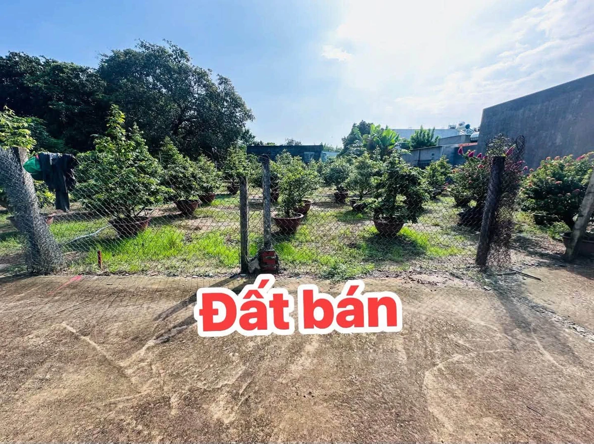 Bán đất Hoà Long, Tạm Long 112m² chỉ 1 tỷ 295 - Ảnh thu nhỏ 3