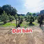 Bán đất Hoà Long, Tạm Long 112m² chỉ 1 tỷ 295 - Ảnh thu nhỏ 3
