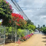 Bán đất mặt tiền Tân Hội, 72m², Bình Tân - Ảnh thu nhỏ 3
