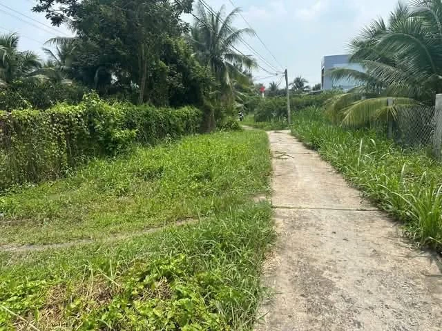 Bán đất công Sơn Đông Bến Tre 4.366m² 1.4tr/m² - Ảnh thu nhỏ 2