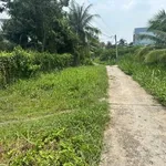 Bán đất công Sơn Đông Bến Tre 4.366m² 1.4tr/m² - Ảnh thu nhỏ 2