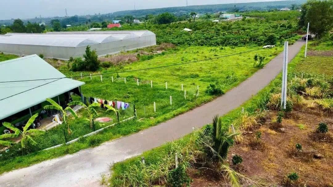 Bán đất nền 195m² sổ riêng Đá Bạc Hóc Môn 470 triệu - Ảnh thu nhỏ 5