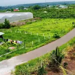 Bán đất nền 195m² sổ riêng Đá Bạc Hóc Môn 470 triệu - Ảnh thu nhỏ 5