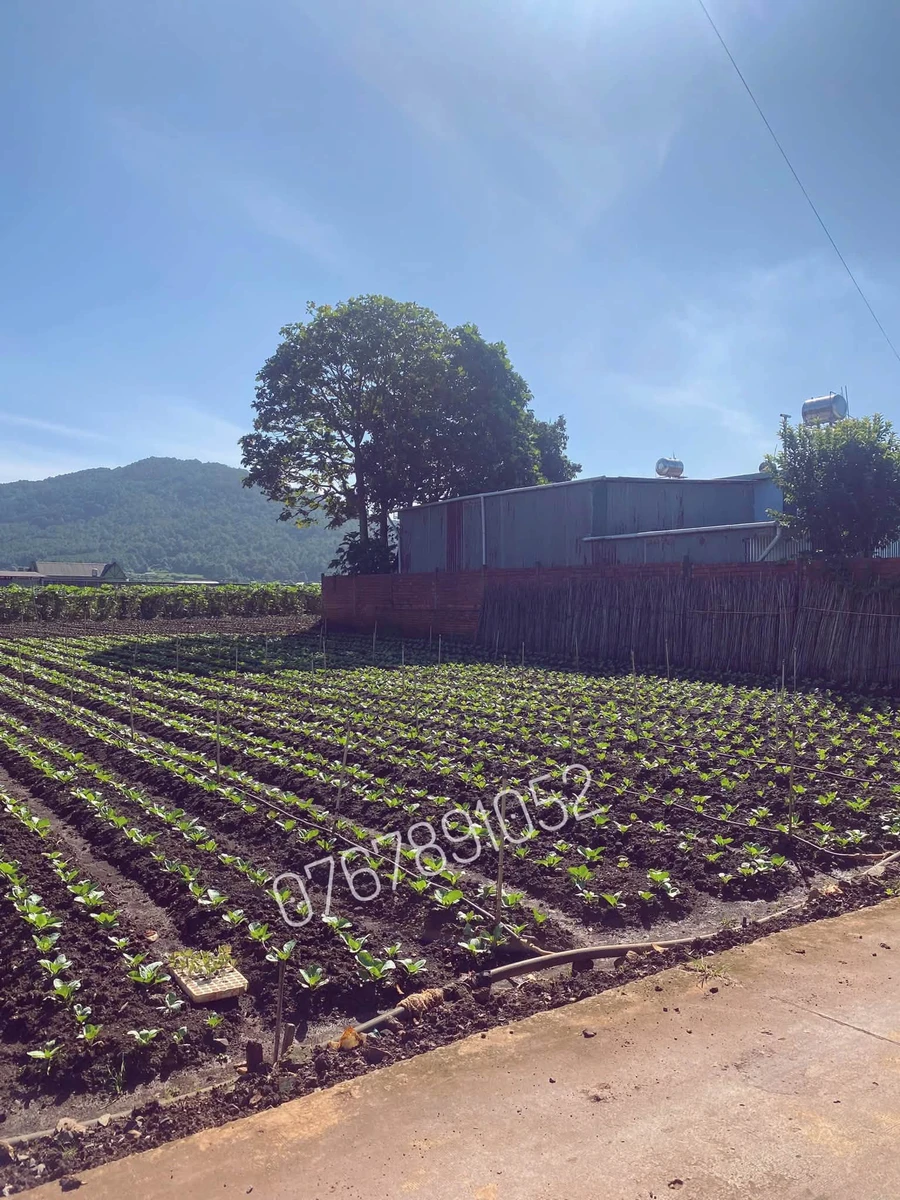 Bán đất nền 155m2 gần trường Chu Văn An, 1 tỷ 5 - Ảnh thu nhỏ 2