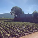 Bán đất nền 155m2 gần trường Chu Văn An, 1 tỷ 5 - Ảnh thu nhỏ 2