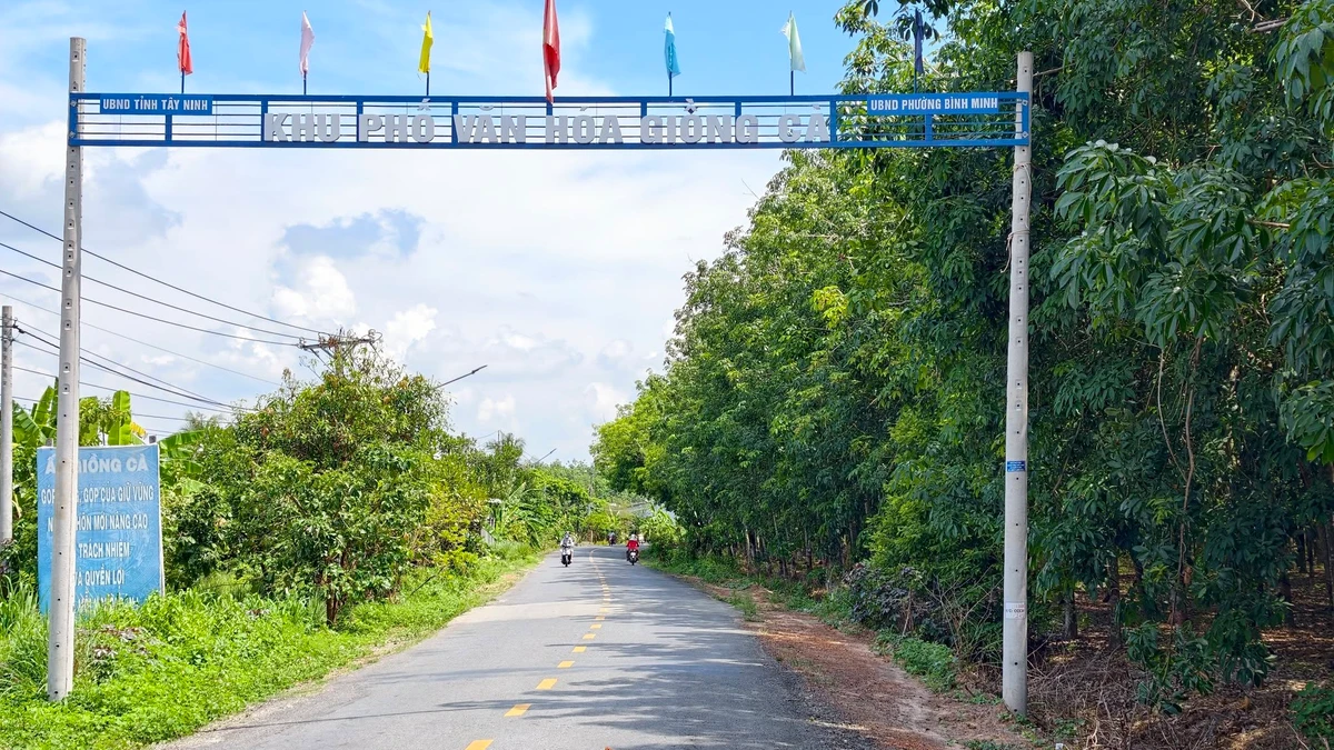 Bán nền 150m² Phường Bình Minh Tây Ninh giá 199 triệu - Ảnh thu nhỏ 2
