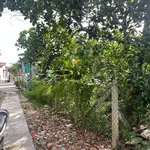Bán đất 177,3m2 gần chợ Ga, xã Vĩnh Thạnh, Nha Trang giá 2,65 tỷ - Ảnh thu nhỏ 5