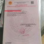 Bán đất mặt tiền Bùi Ngọc Thu Thủ Dầu Một Bình Dương 724m² - Ảnh thu nhỏ 4