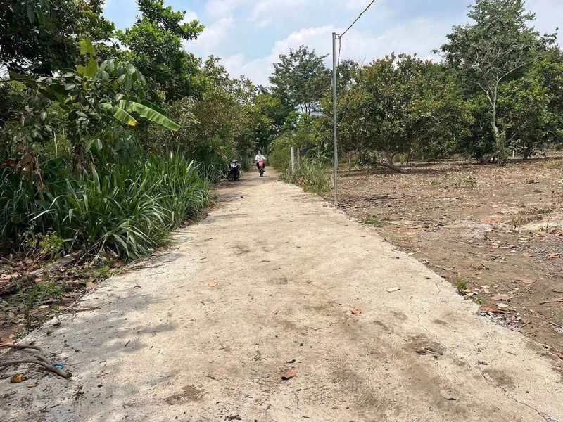 Bán đất nền 8x50 (100m² thổ cư) tại Bù Đốp, giá 180 triệu