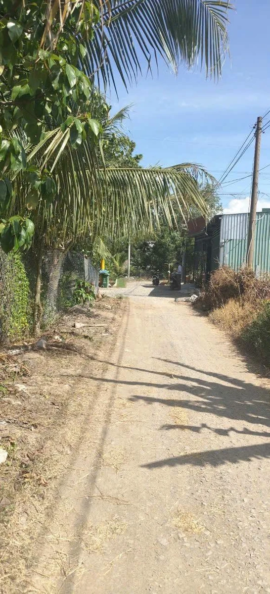 Bán lô đất 200m² thổ 100% SHR Xã Mỹ Hạnh - Ảnh thu nhỏ 3